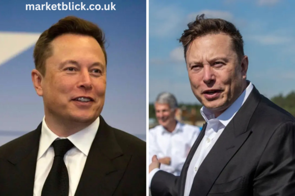 how much does elon musk make a day​