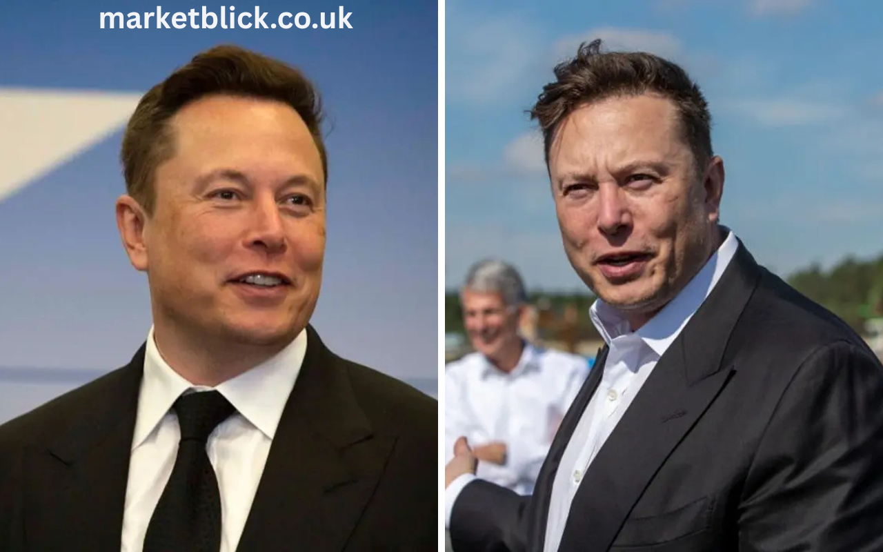 how much does elon musk make a day​